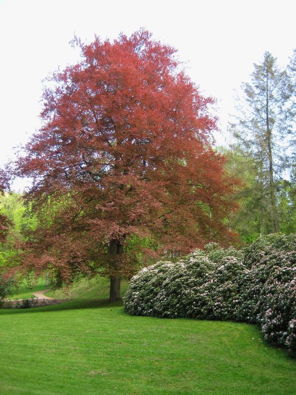 Augustenhof Bad Elster Buitenkant foto