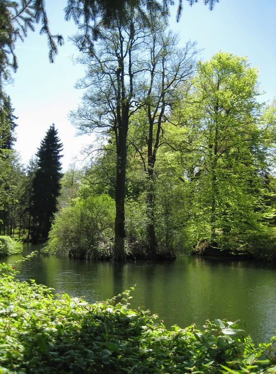 Augustenhof Bad Elster Buitenkant foto